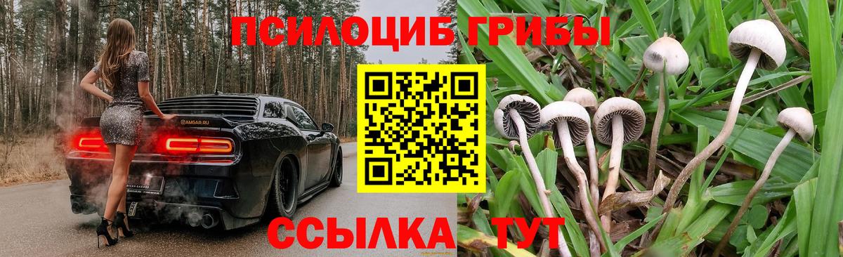 купить наркотики сайты  Галлюциногенные грибы мухоморы  Вход с VPN  Березники 